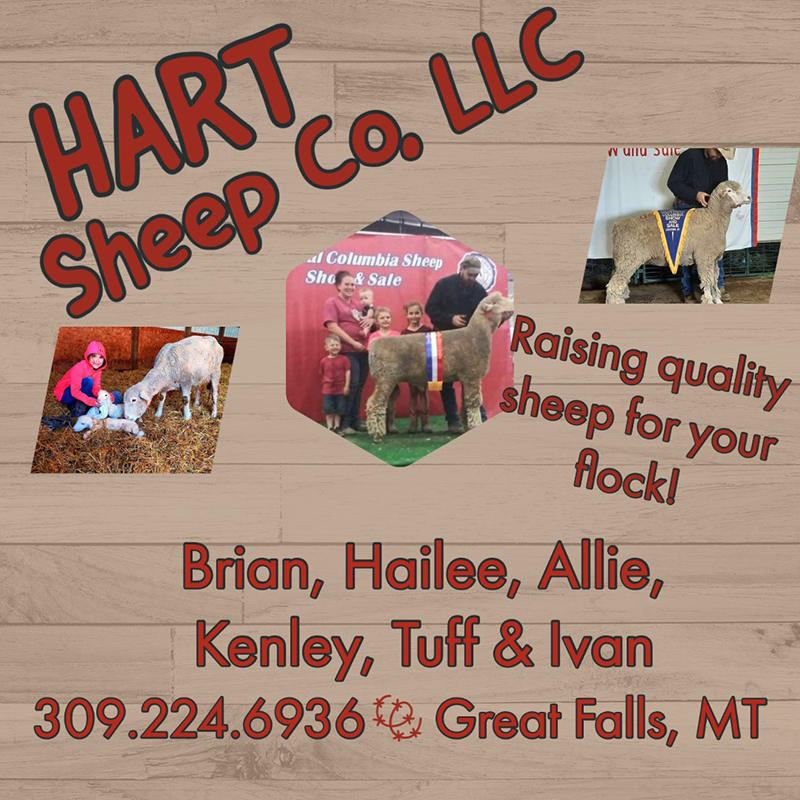 Hart Sheep Co, LLC